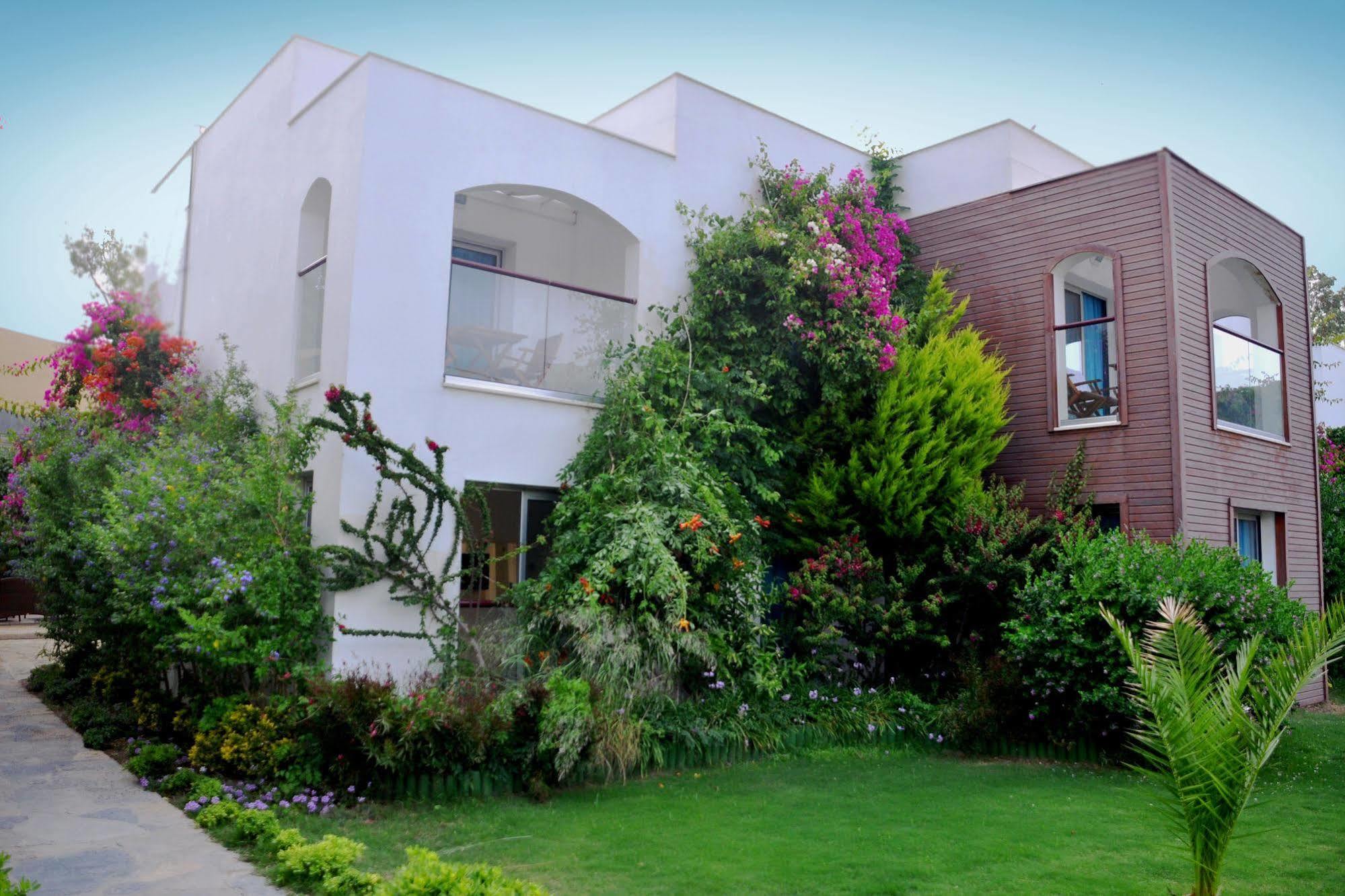 Costa Luvi Bodrum Otel Gümbet